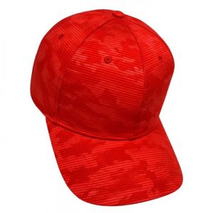 GORRA FLYN